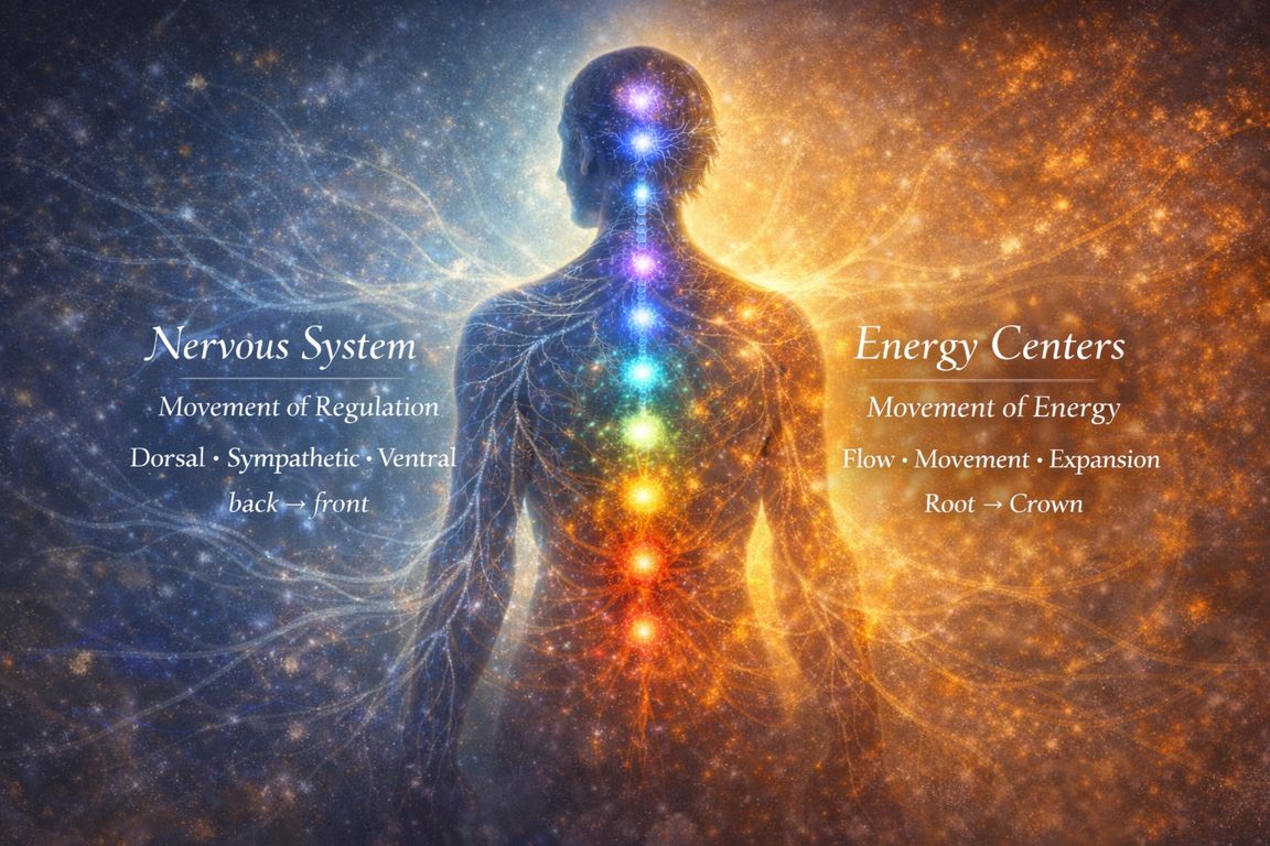 Two Languages of the Body — Chakras & Nervous system - star-of-light.nl